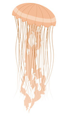 marine jellyfish with long tentacles and a round cap