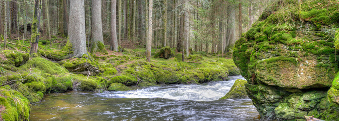 The river Grosser Regen has its source in Bohemia and flows through the wild and romantic landscape...