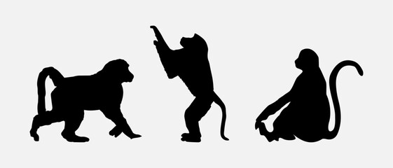 isolated black silhouette of a monkey , vector collection © tabon