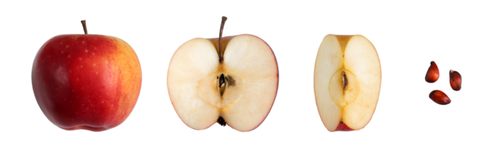 Top view of isolated cut red fresh apple. Set of whole, half, quarter and seeds of red apple
