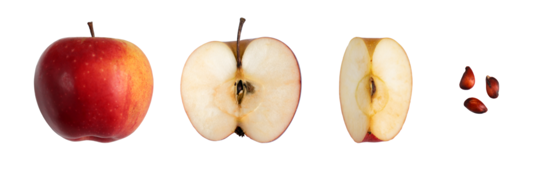 Top view of isolated cut red fresh apple. Set of whole, half, quarter and seeds of red apple