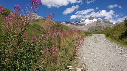 fond d'écran montagne