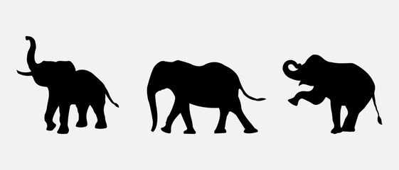 isolated black silhouette of a elephant , vector collection