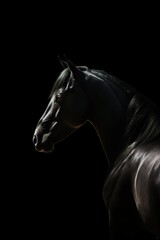 Portrait of a dark horse on a black background. generative ai