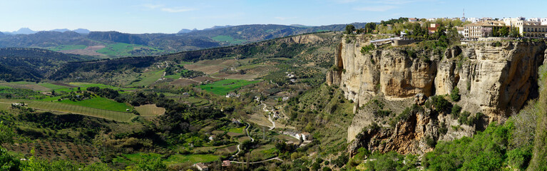 Fototapeta na wymiar Houses on a cliff and valley in Ronda, Andalusia, Spain - panorama