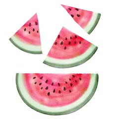 Watermelon pieces on a white background - watercolor digital illustration