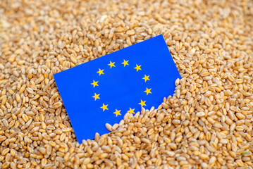 Export, sale, import of grain to the European Union concept. EU flag on grain. © Konstiantyn Zapylaie