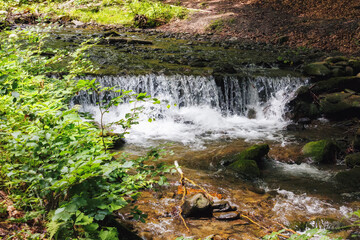 brook in the forest. wilderness nature background with wet rocks on the shore. bright summer day