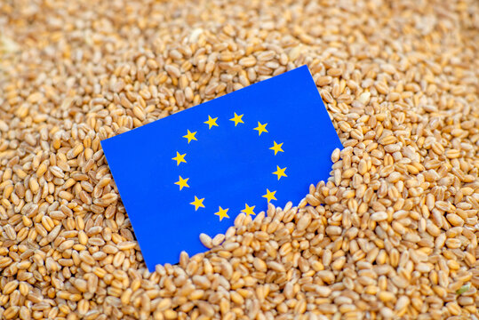 Export, sale, import of grain to the European Union concept. EU flag on grain.