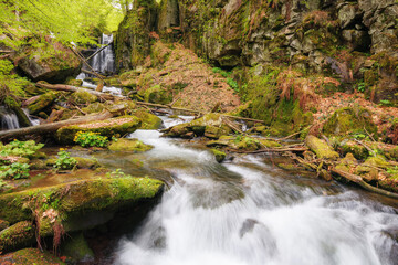waterfall on the creek in forest. beautiful outdoor nature background. plenty of water in spring
