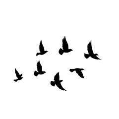 Obraz na płótnie Canvas Flying birds silhouettes vector