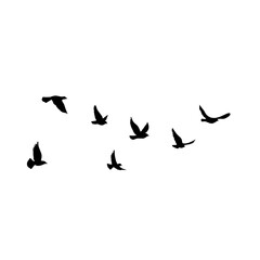 Fototapeta na wymiar Flying birds silhouettes vector