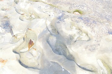 Rocky surface