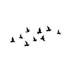 Fototapeta na wymiar Flying birds silhouettes vector
