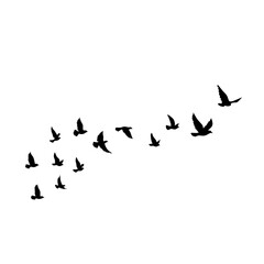 Obraz na płótnie Canvas Flying birds silhouettes vector