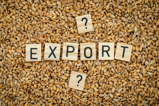 Export grain, wheat concept. The word Export and a question mark on a grain background.