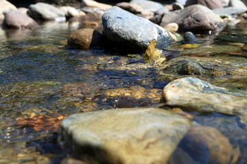 Fototapeta na wymiar Mountain Creek. Pure water. Clear water. Flow. Waterfall.