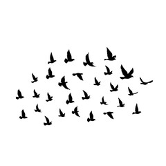 Naklejka na ściany i meble Flying birds silhouettes vector