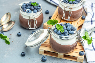 Delicious chocolate mousse or pudding with whipped cream. Chocolate panna cotta with blueberries. Chocolate pudding and greek yogurt parfait