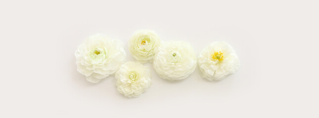 Obraz na płótnie Canvas Top view image of white flowers composition