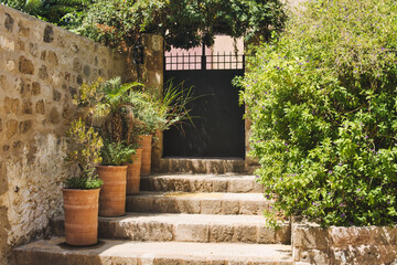 Plants growing on a stairs made from stone