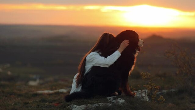 Bernese Mountain Dog (Bernese Mountain Dog). Young girl sitting on the meadow hugging golden retriever looking into the distance enjoying beautiful scenery and relaxing time with her pet, sunset