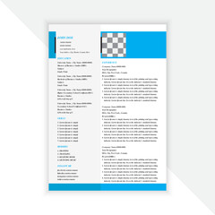 Modern and Professional Resume Template