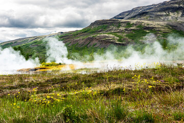 okolica gejzer Geysir na Islandii parujące źródła © damian