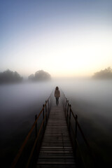 A woman standing on a bridge in the middle of a dense fog, with a surreal, ghostly landscape stretching out in all directions, ai