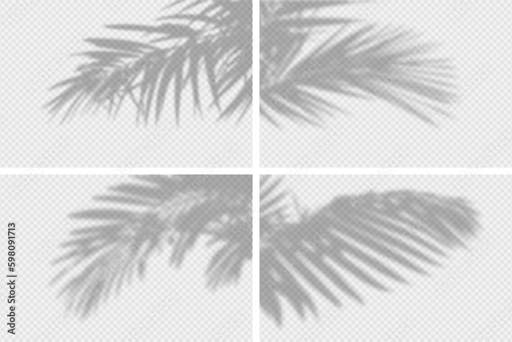 Aufkleber shadow overlay of palm tree branch. set of transparent overlay shadow effects from tropical palm lea