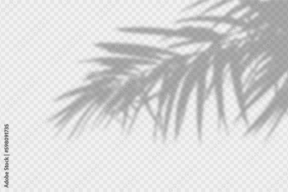 Aufkleber Shadow overlay of palm tree branch. Transparent overlay shadow effect from tropical palm leaves. Realistic soft light effect of shadows and natural light on transparent background. Vector.