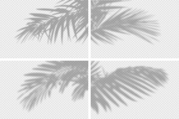 Shadow overlay of palm tree branch. Set of transparent overlay shadow effects from tropical palm leaves. Realistic soft light effect of shadows and natural light on transparent background. Vector. - obrazy, fototapety, plakaty