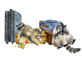 Color illustration of a fat raccoon lazily eating chips. Waiting for a flight, a humorous picture. On a white background. A raccoon on suitcases from the collection JOURNEY OF RACCOONS.  - obrazy, fototapety, plakaty