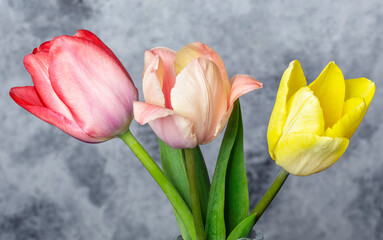 Naklejka premium bouquet of white tulips on vintage background