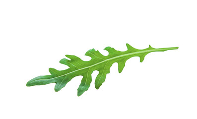Arugula leaves isolate on white background. Selective focus.