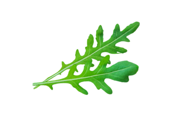 Arugula leaves isolate on white background. Selective focus.