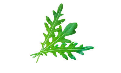 Arugula leaves isolate on white background. Selective focus.