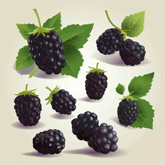 Simplistic Black Berry vector illustrations