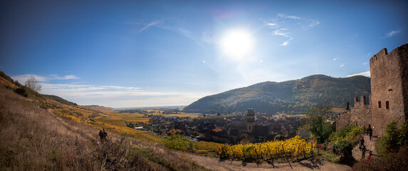 Fototapeta na wymiar vineyard Kaysersberg, Alsace, France 