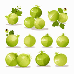 A collection of gooseberry illustrations with different compositions and arrangements