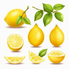 A set of lemon illustrations with a Mediterranean feel