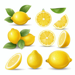 A set of lemon illustrations with a vintage botanical feel