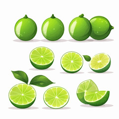 A pack of Lime illustrations with a minimalist design for a clean look