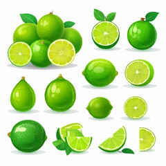 A Lime vector illustration with a simple and clean design
