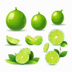 An illustration of a Lime with a minimalistic design and soft shadow