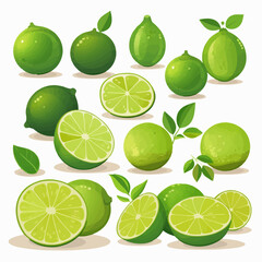 Lime fruit vector pack for your design projects