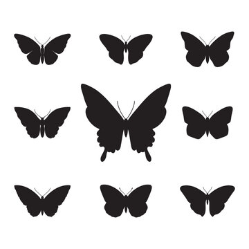 Сollection of butterflies. Silhouette butterflies for posters, greeting cards, invitations, web, etc.