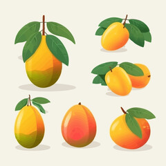 Obraz premium Collection of mango vector illustrations with a hand-drawn style