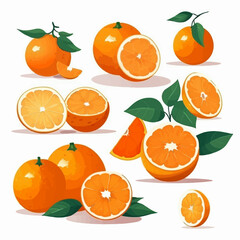 Obraz premium A set of orange vector illustrations that are perfect for your citrus-themed designs.