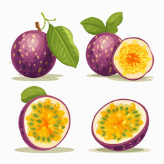 Passion Fruit vector graphic with a leaf and flower